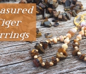 treasured tiger earrings cover