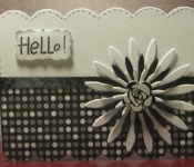 black and white floral card made by Sam at http://hettiecraftcz.blogspot.com