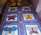 pieced butterfly quilt