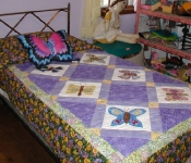 appliqued butterfly quilt