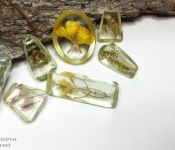 nature's treasures