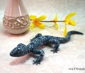 kaleidoscope cane lizard (5)