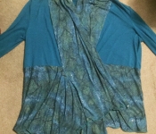 teal reptile jacket 2