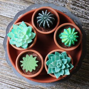Succulent plants made in resin molds with a technique that gives them the appearance of an inner glow.