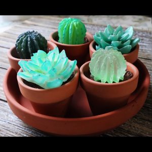 Succulent plants made in resin molds with a technique that gives them the appearance of an inner glow.  

Five arranged in tiny terracotta pots on a tray.