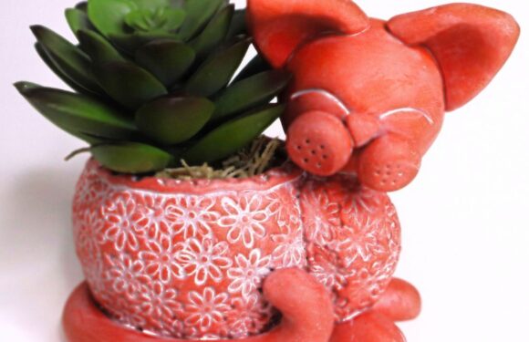 Crafting Cuteness: DIY Cute Cat Plant Pot in Polymer Clay